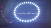 led_ring_lights_led_angel_eyes_circle.jpg