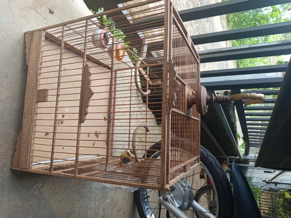 Lồng cm 450