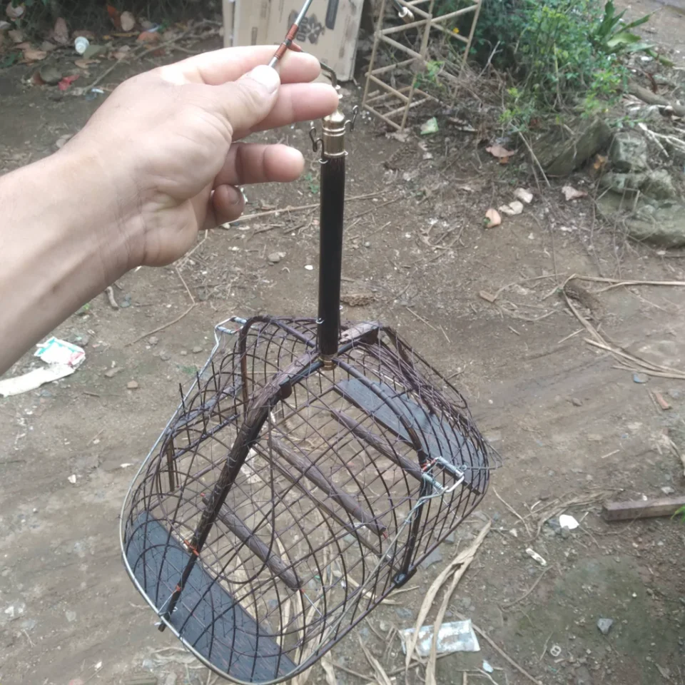 K xài nữa cần chia lại cây lụp