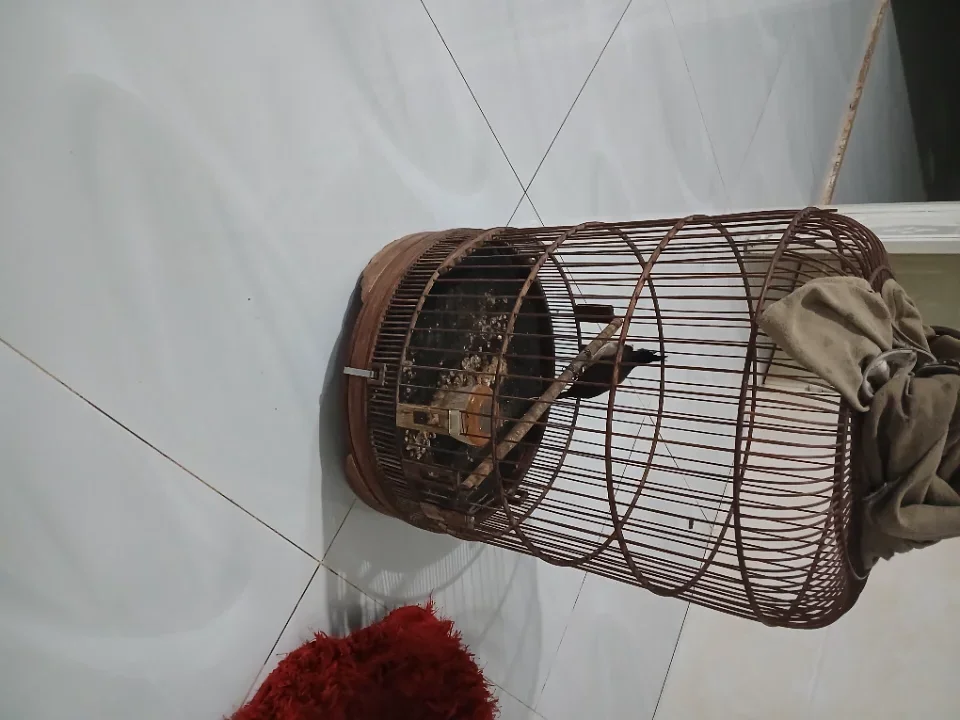 Bảo lộc