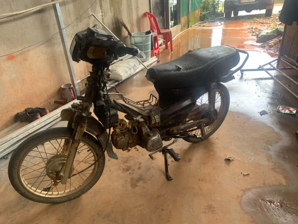 Dream đi vườn