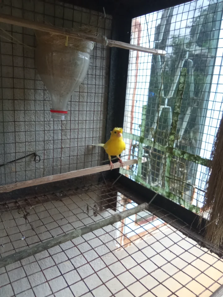 1000015983.webp
