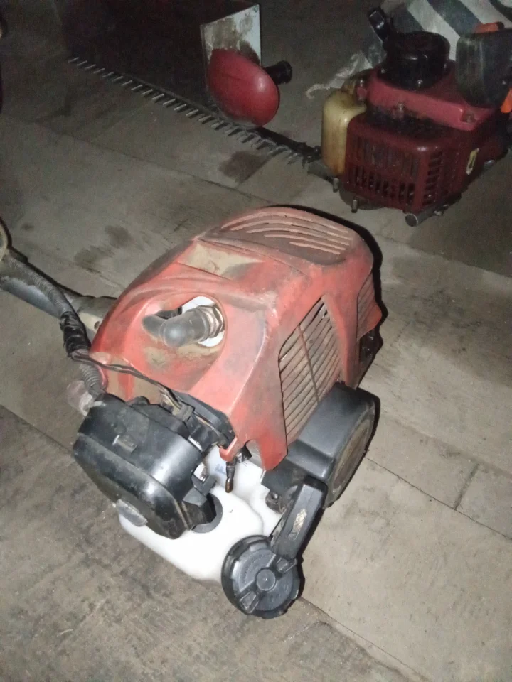 1000016098.webp