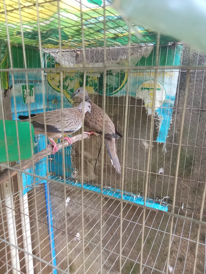 1000016145.webp