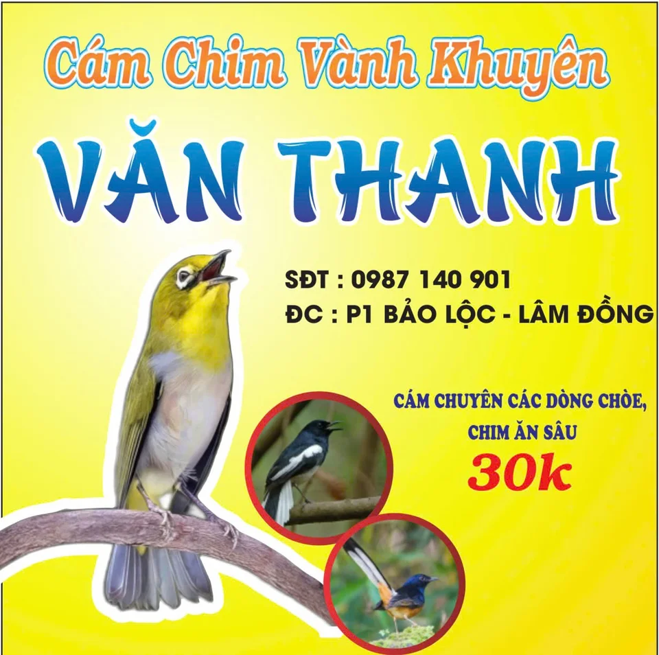 1000026388.webp