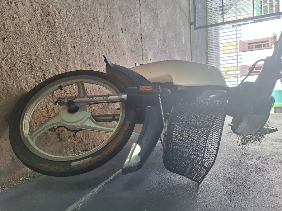 XE RIM MẠNH ĐI VƯỜN