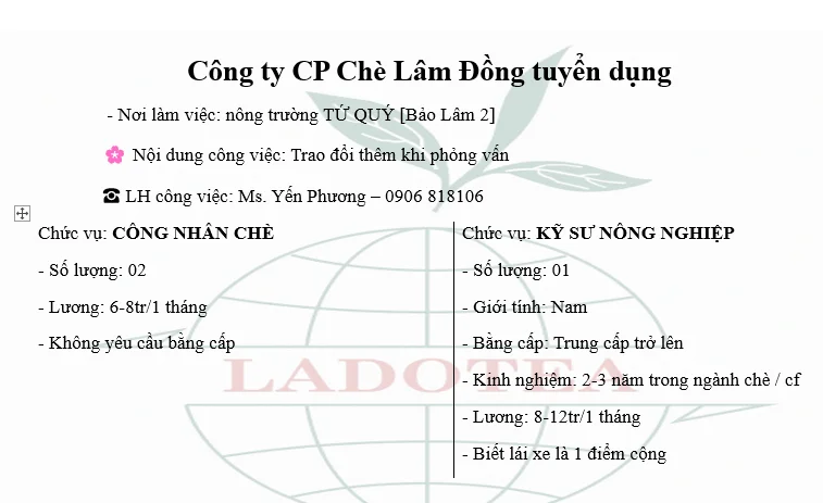 1786331306652.webp