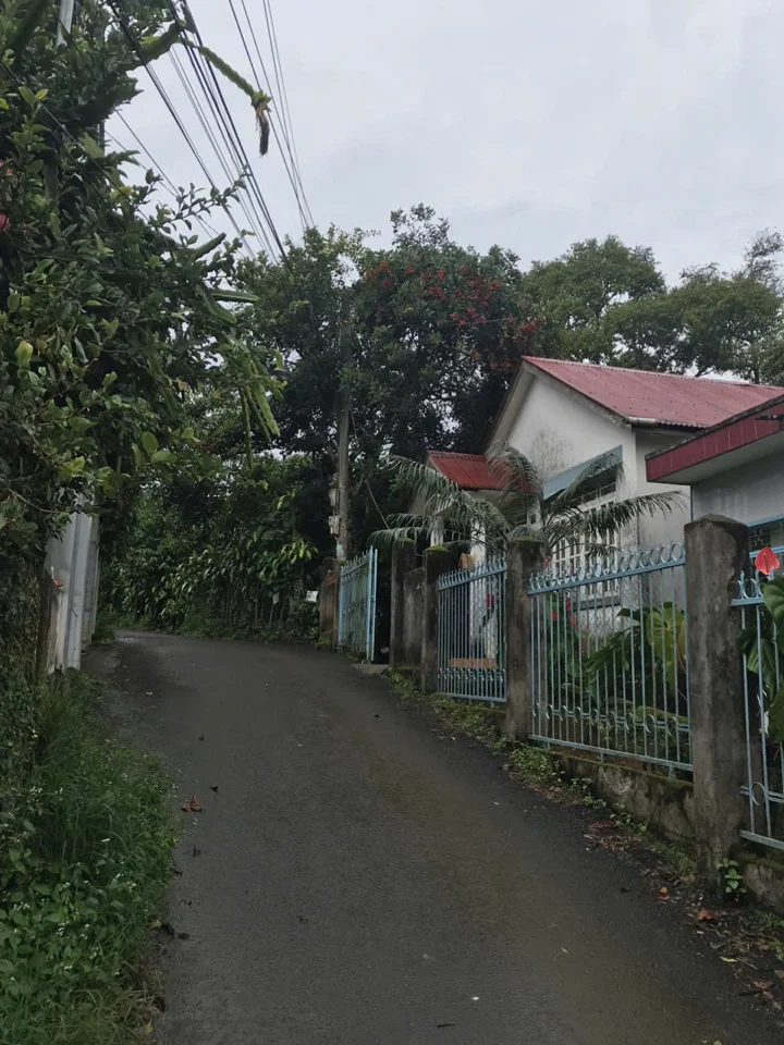 CHO THUÊ NHÀ NGUYÊN CĂN