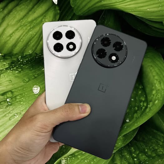 502467121_1241745194623640_2051857306264060970_n.jpg 502467121_1241745194623640_2051857306264060970_n.jpg