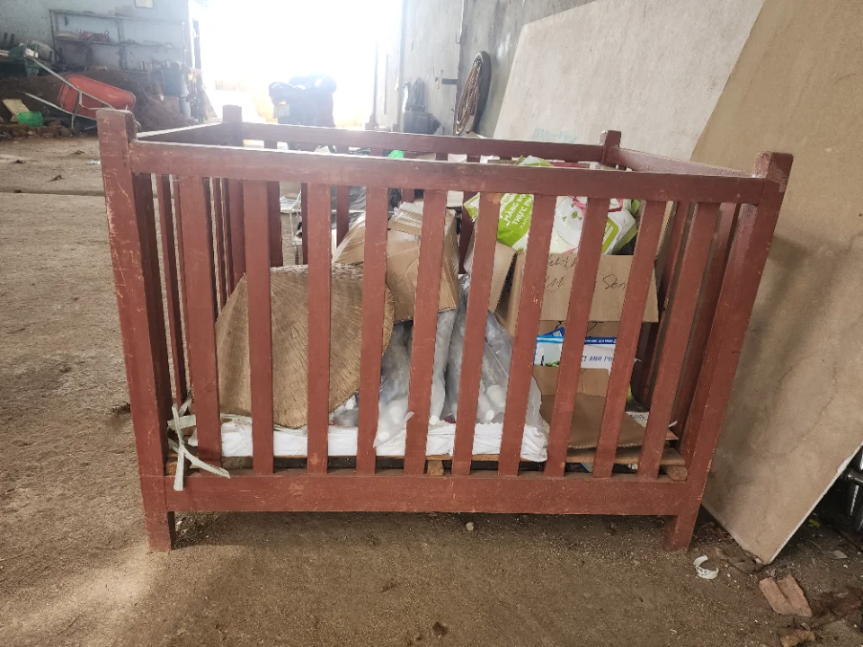 Củi trẻ em 200k