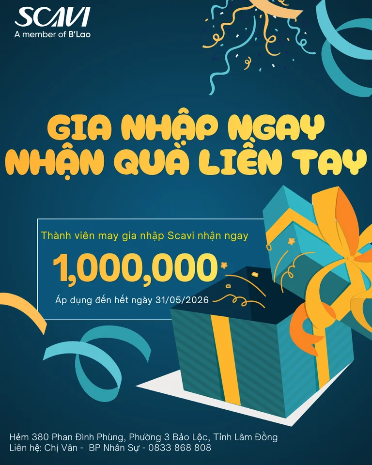 Deep Green and Yellow Minimal Clean Gift Voucher Instagram Post.webp