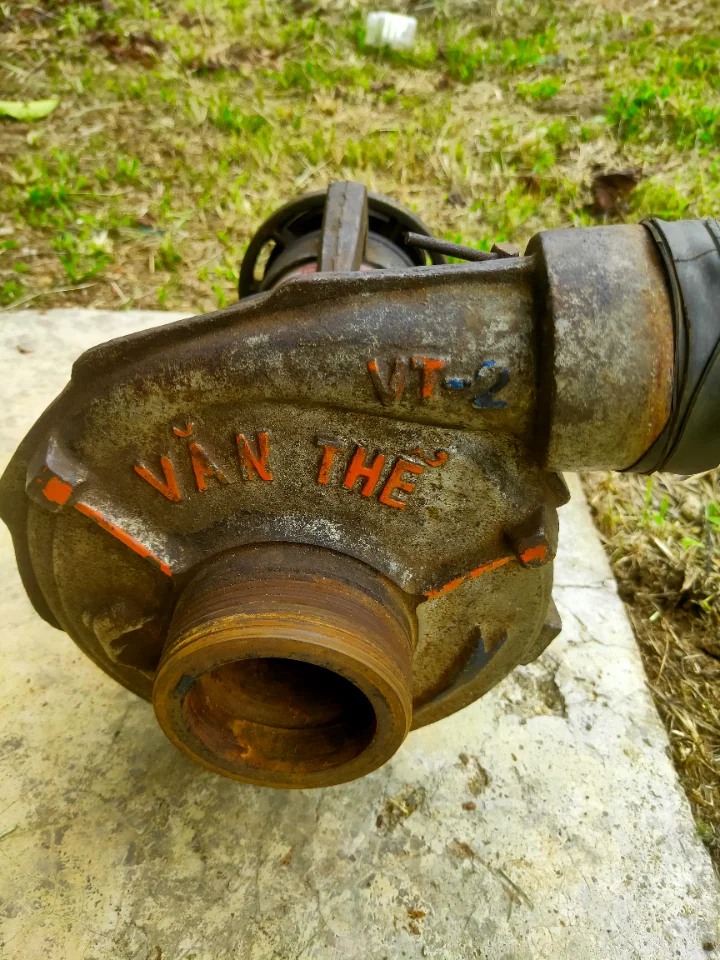 Vt2 cá chết đang hoạt động bình thường ae ai khu vực lộc châu bảo lộc