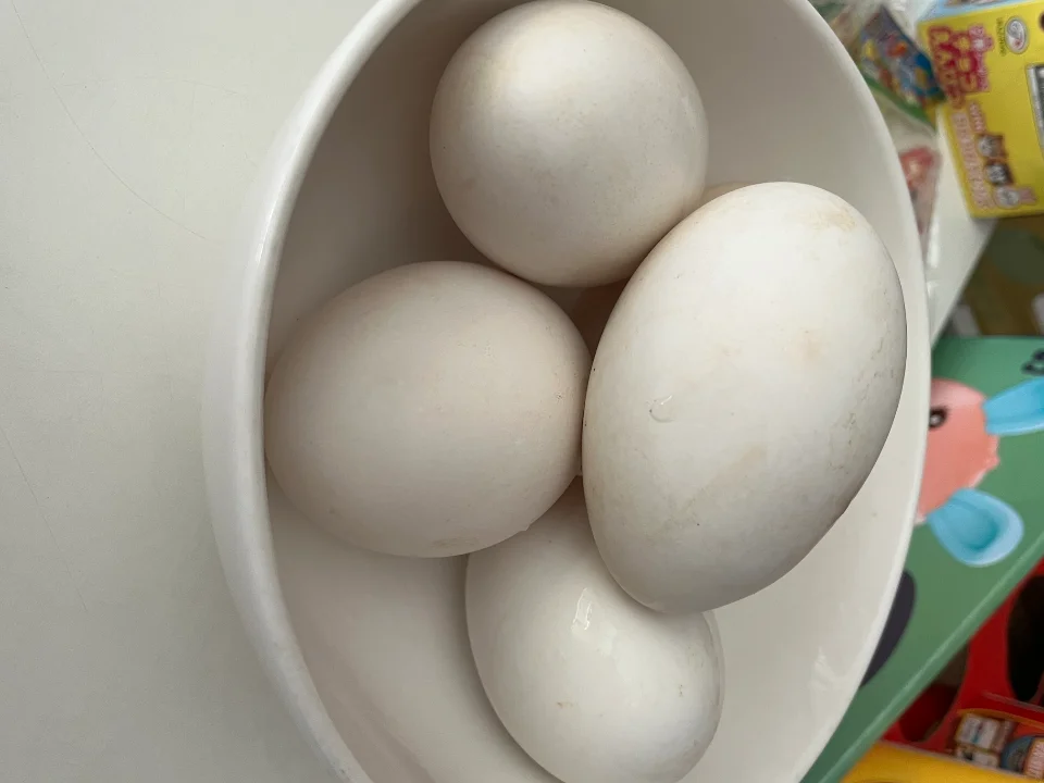 Trứng ngỗng