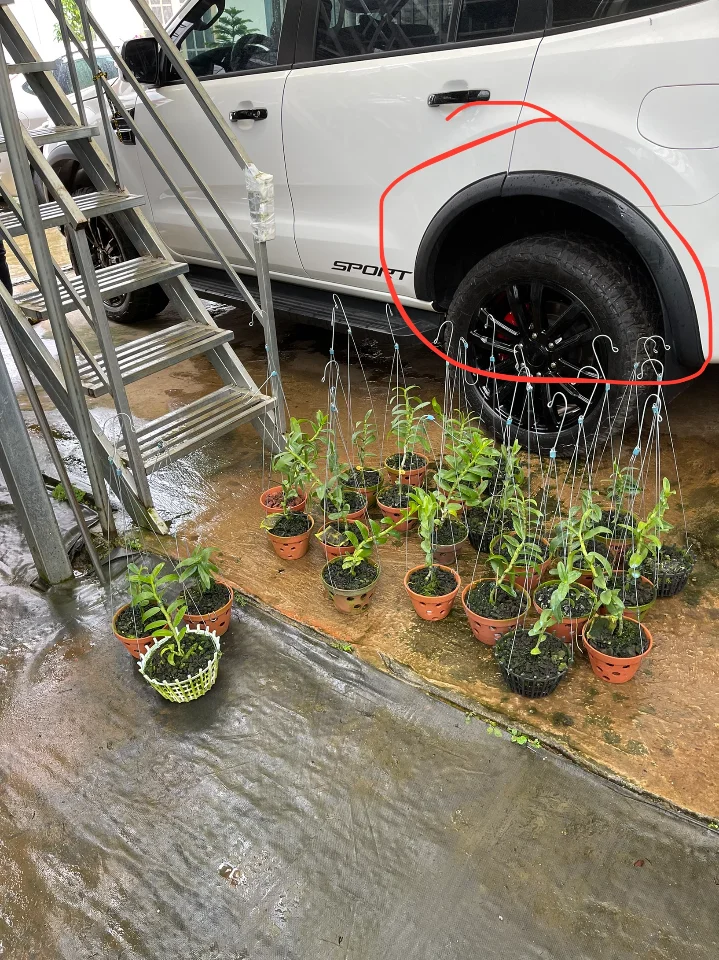 Bán bộ cua lốp cho everets 2021