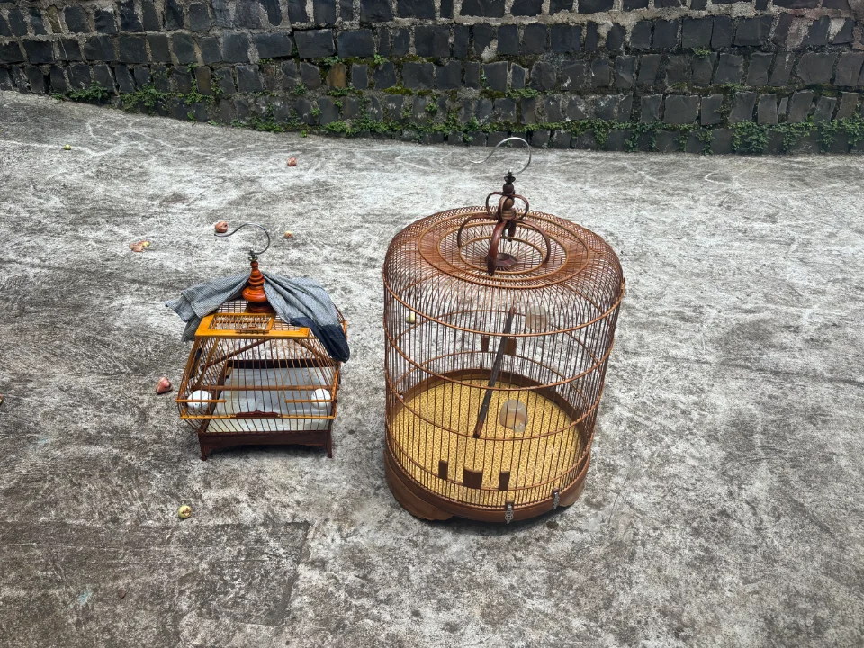 Dọn nhà dư 2 cây lồng 200k 2 cái ( Đã Bán )
