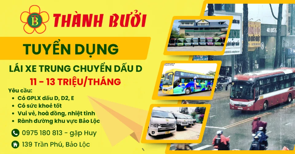 Thành Bưởi Bảo Lộc Tuyển Dụng Tài Xế Dấu D