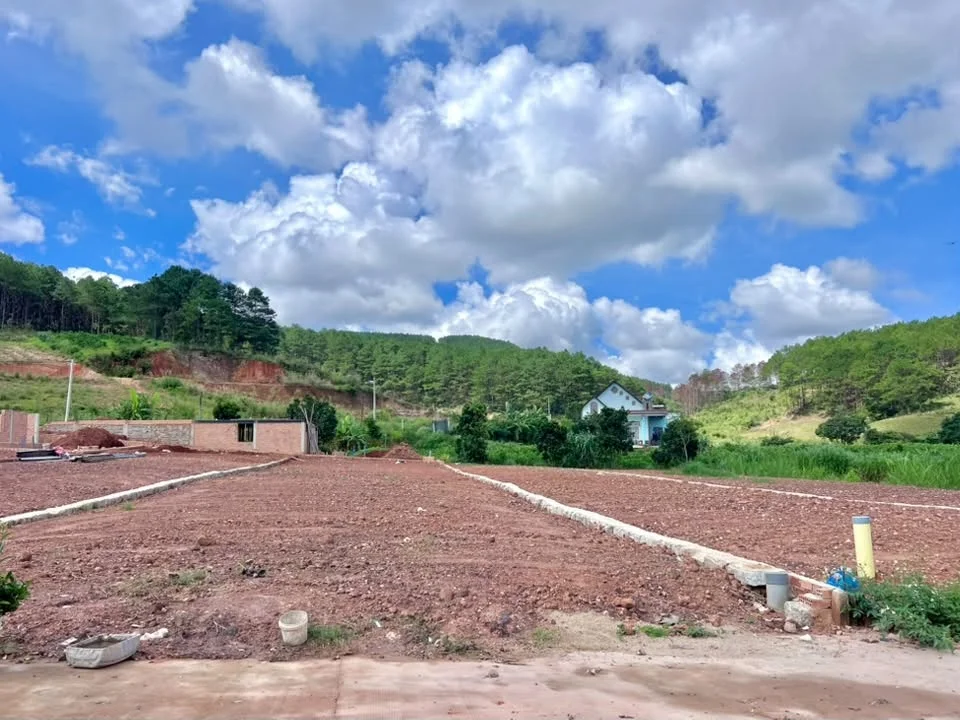 Cần Bán Đất 542m² Có 200m² Thổ Cư Giữa Đồi Thông,Lý Tưởng Xây Nhà Vườn