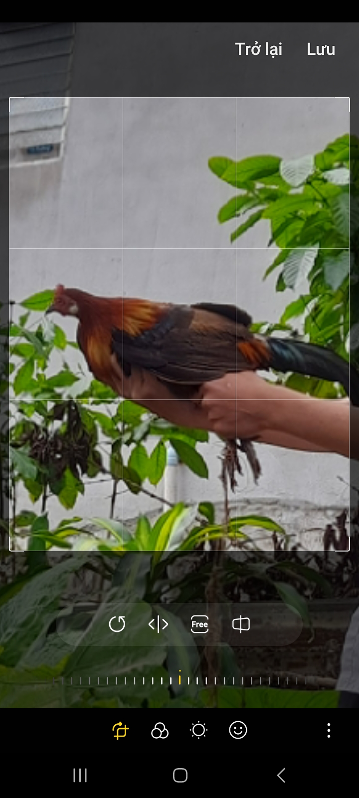 Screenshot_20250116_212014_Photo Editor.jpg