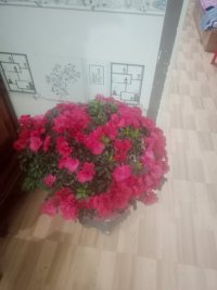 IMG_20230209_175437 (1).jpg