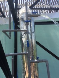 cây lọc nuóc.JPG