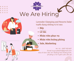 Bếp Lễ tân Nhân viên phục vụ Nhân viên buồng phòng Sale, Marketing.png