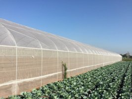 Lưới chắn côn trùng cao cấp.jpg