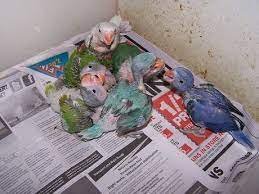 tải xuống (2).jpg