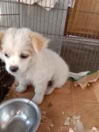 IMG_20230419_092328 (1).jpg