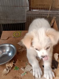 IMG_20230419_092255 (1).jpg