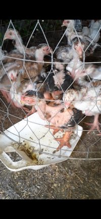 Screenshot_20230423-185630_Video Player.jpg