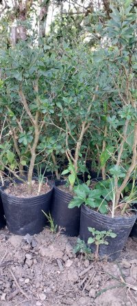 20230316_075304.jpg 20230316_075304.jpg