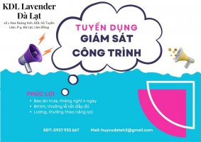 tuyển giám sát công trình.jpg