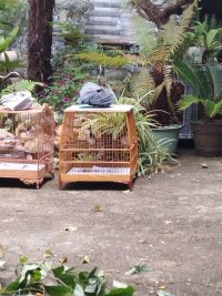 IMG_20230714_112359 (1).jpg