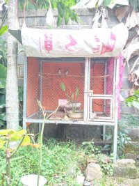 IMG_20230714_111834 (1).jpg