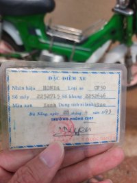 Cà vẹt xe chaly.jpg