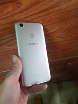 373469786_854355086207533_5445765659213653372_n - Copy.jpg