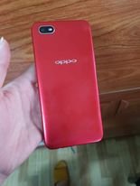 376369338_1400221707515037_534397363608554221_n - Copy.jpg