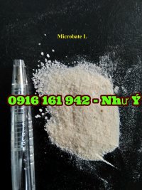 microbate l 2.jpg