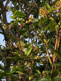 386295229_6750027885046564_3804395032024999670_n (1).jpg