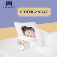 Black & White Hotel Bed Travel Accomodation Logo (1).jpg