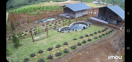 Screenshot_20230922-102326_Imou Life.jpg