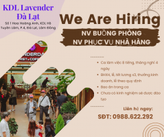 Product Designer.png