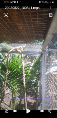 Screenshot_20240105-155726_Video Player.jpg