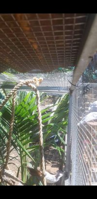 Screenshot_20240105-155714_Video Player.jpg