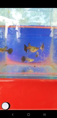 Screenshot_20240108-100552_Video Player.jpg