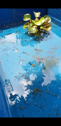 Screenshot_20240314-104243_Video Player.jpg