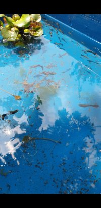 Screenshot_20240314-104223_Video Player.jpg