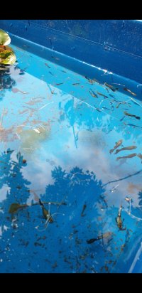 Screenshot_20240314-104146_Video Player.jpg