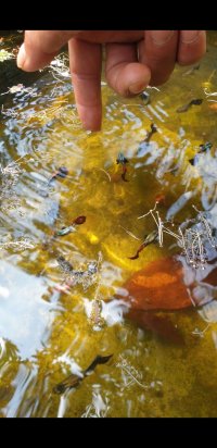 Screenshot_20240314-140019_Video Player.jpg