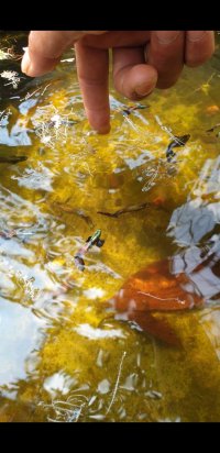 Screenshot_20240314-135845_Video Player.jpg